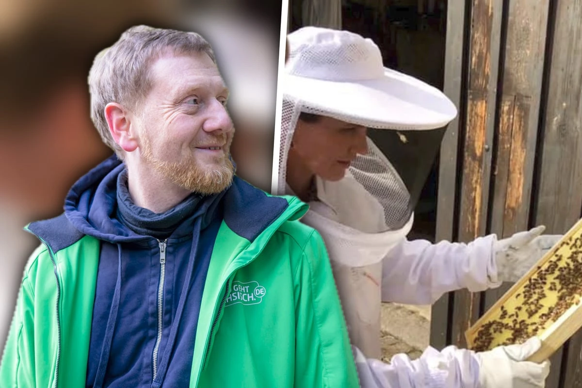 MP Kretschmer liebt das Imkern: Seine Frau ist nicht die einzige Königin