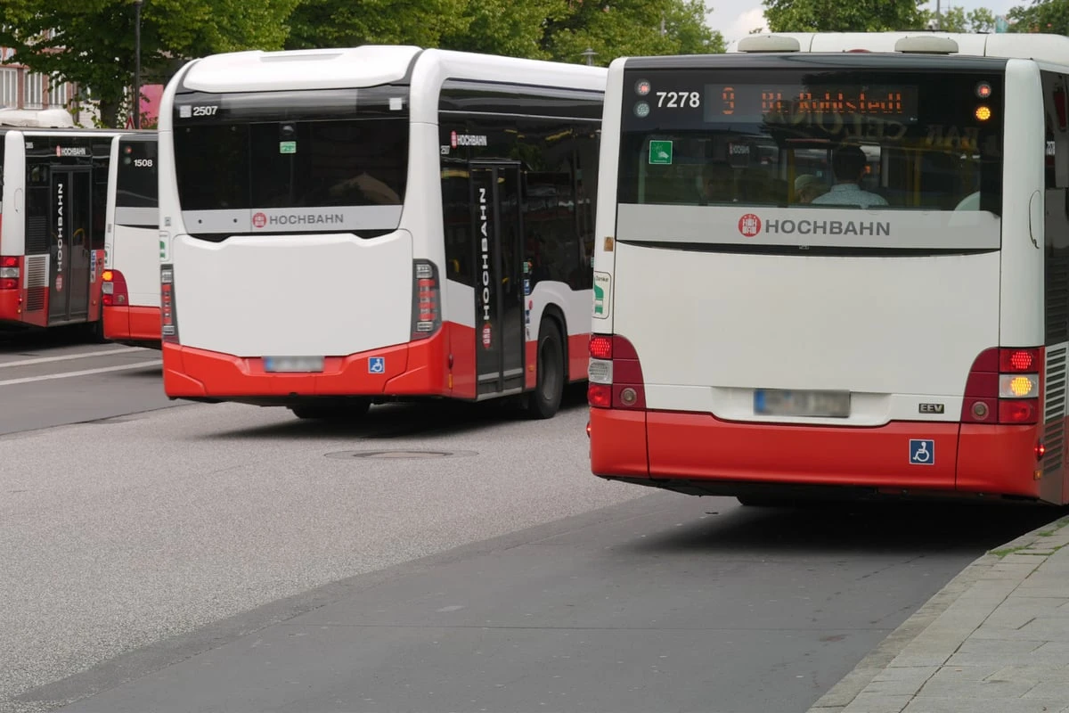 Hamburg im Sommer-Modus: Welche Busse in den Ferien anders fahren
