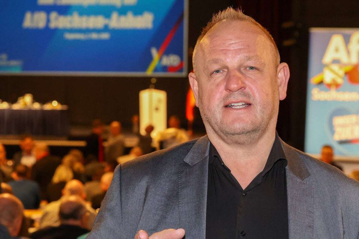 Vorstand abgewählt: AfD in Sachsen-Anhalt zankt am Parteitag