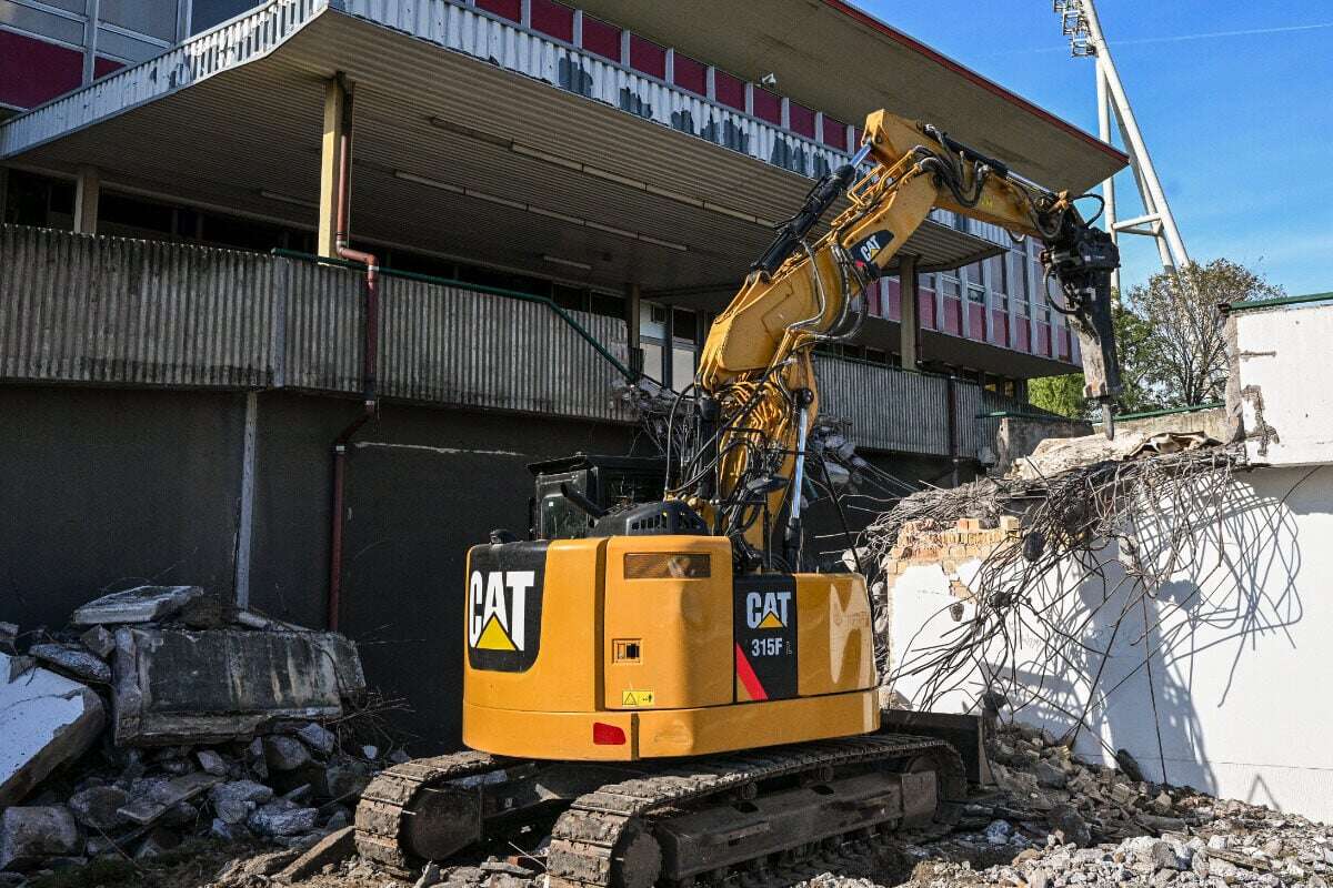 Gericht stoppt Abriss von Jahnstadion: Der Grund dafür ist klein und hat Flügel