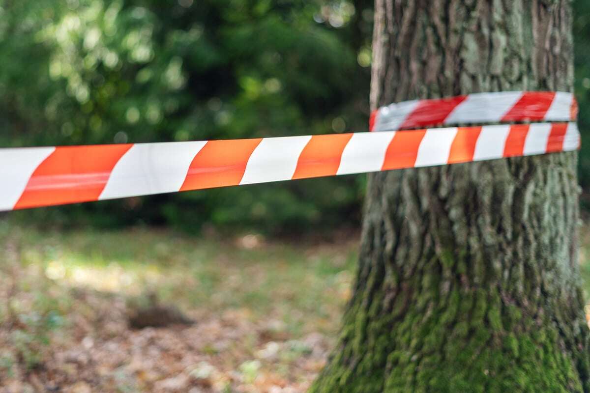 Tote Frau auf Waldweg entdeckt: Ihre Leiche lässt Schreckliches vermuten