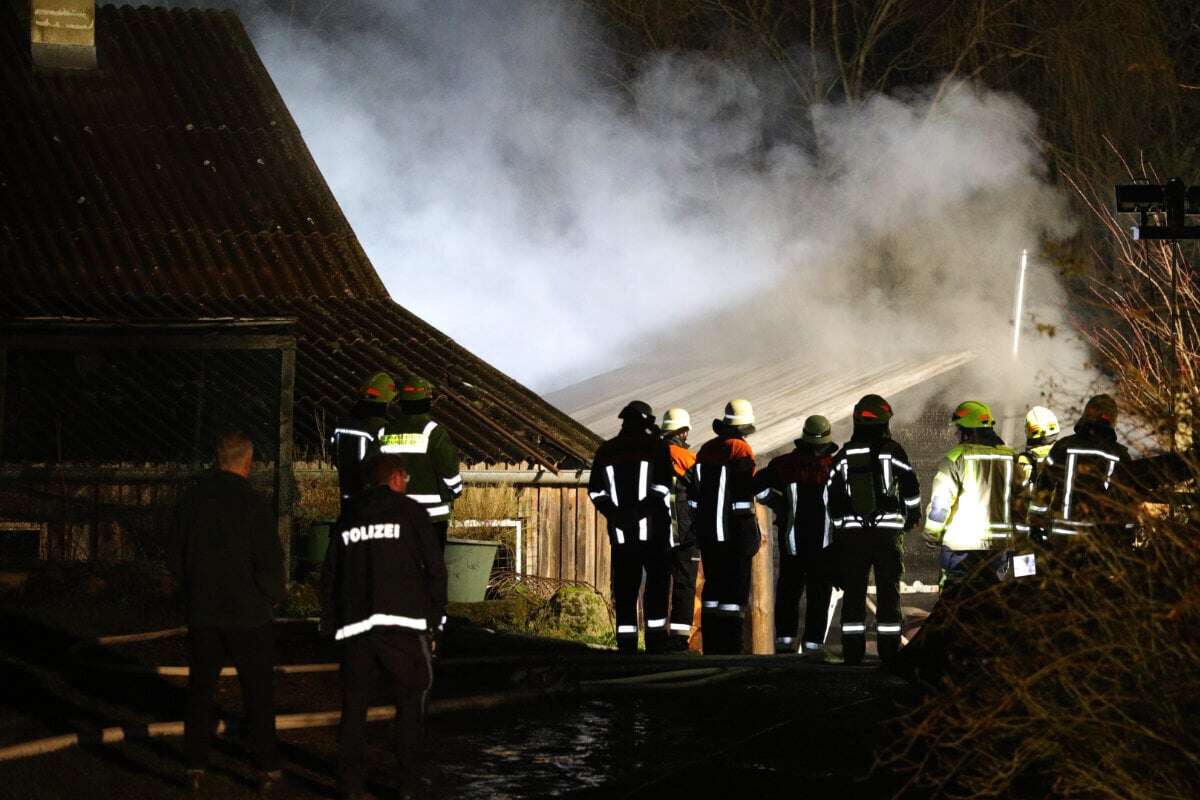 Kurioser Feuerwehreinsatz: Sauna brennt, wird neu aufgebaut und steht erneut in Flammen