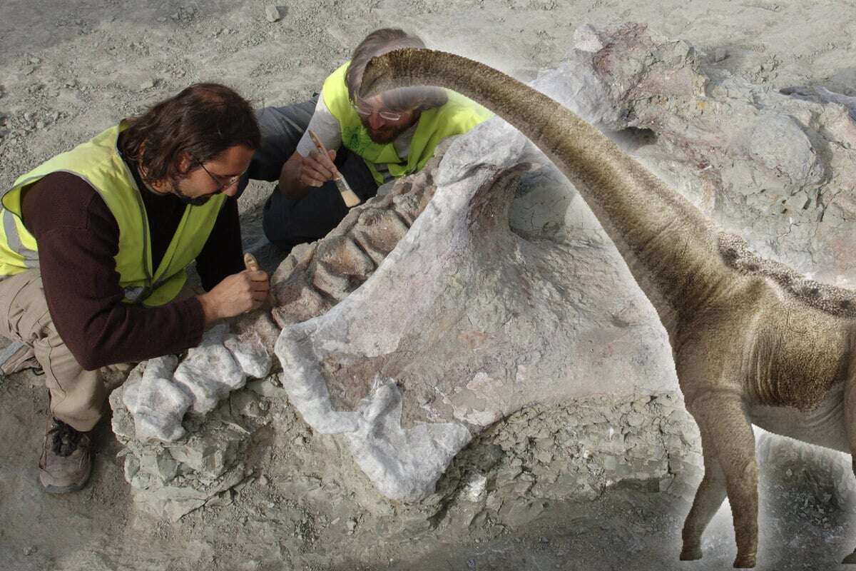 Forscher entdecken unbekannten Dino-Titan in Europa!