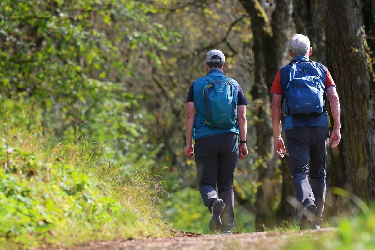 Sechs frische Routen zum Wandern oder Radeln in Sachsen: Neue Wege, alte Heimat