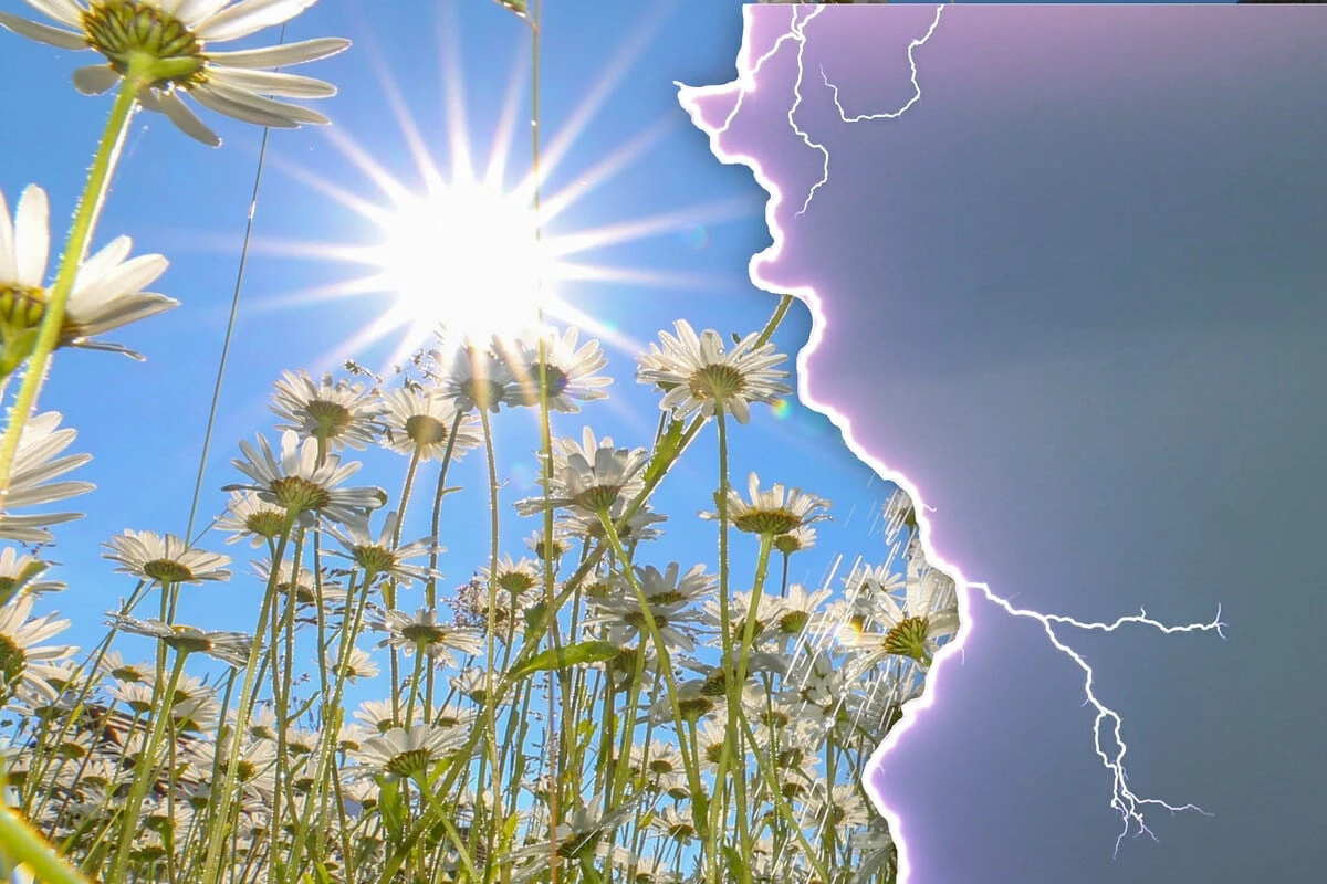 Holpriger Wetter-Start in den Juni: Hier braucht Ihr in NRW den Regenschirm