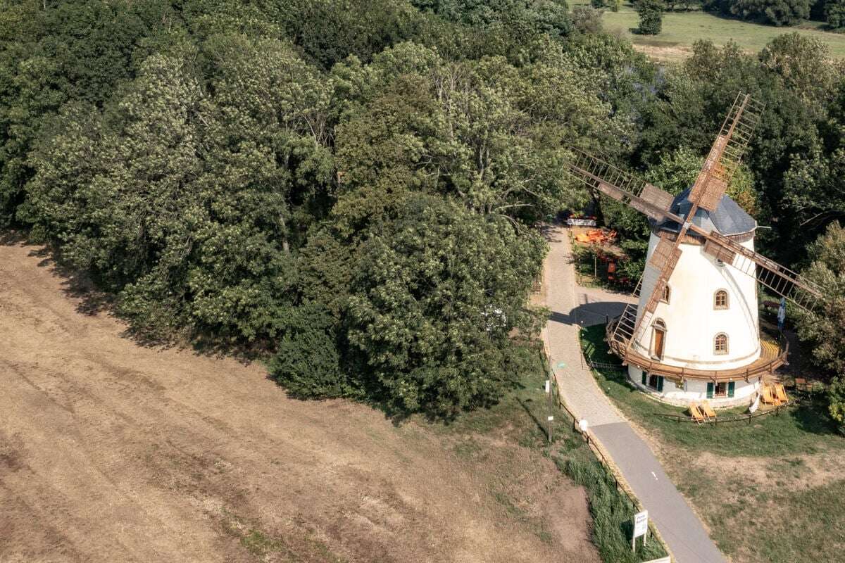 200 Jahre Geschichte mit vier Flügeln - Was der Betreiber mit dieser Windmühle plant