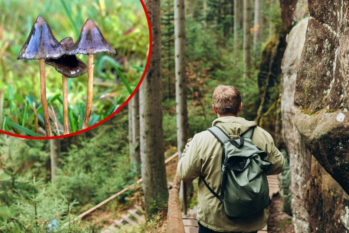 Verirrte Wanderer rufen Polizei wegen totem Freund: Die Wahrheit ist bitter, aber urkomisch