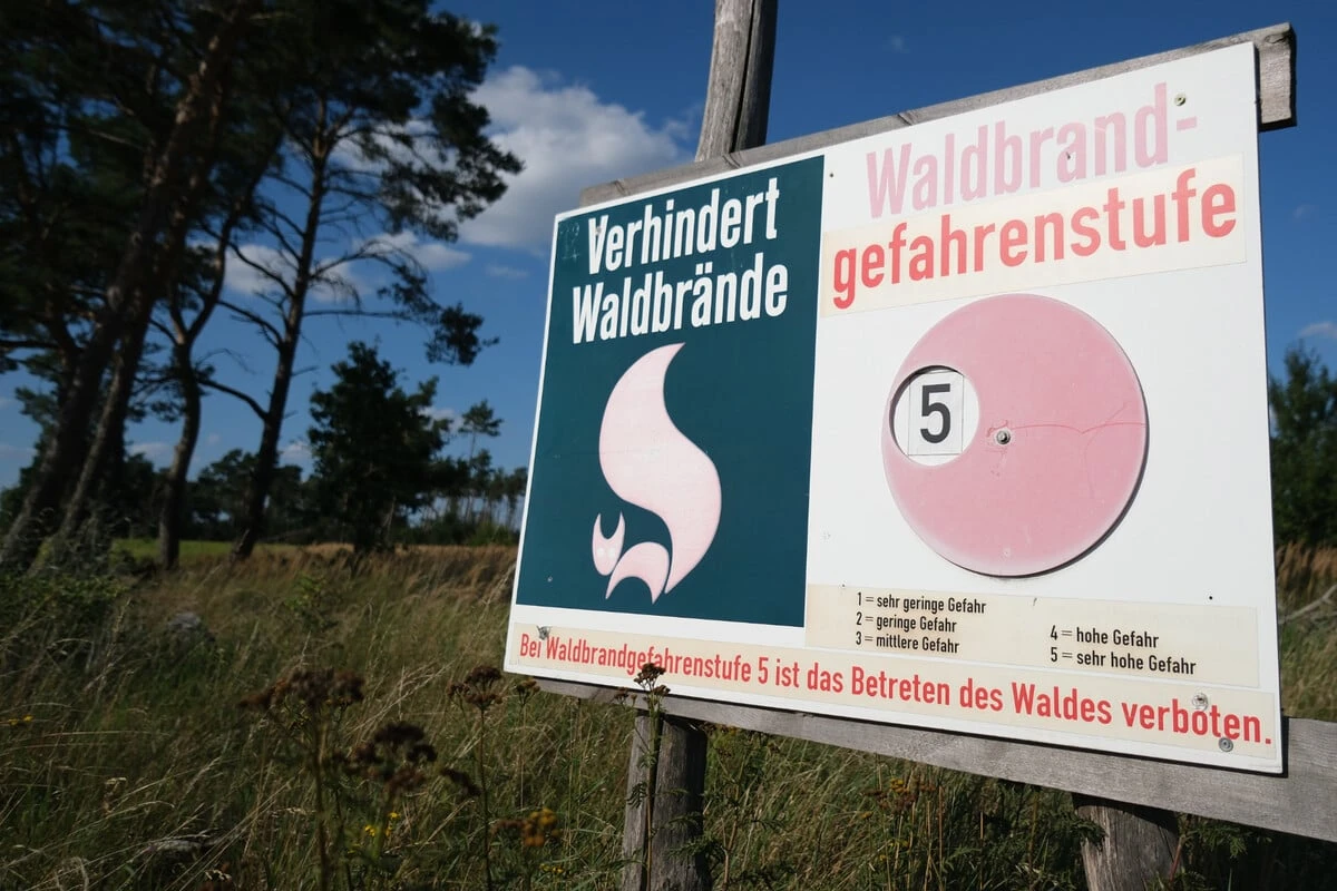 Waldbrände in Sachsen drohen: In manchen Regionen ist es besonders brenzlig