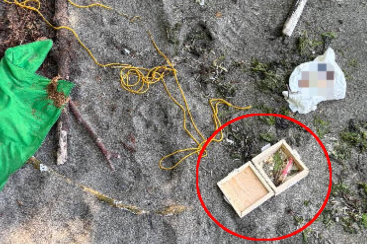 Grausamer Fund am Strand: Mann findet als Geschenk verpackten Zeh!
