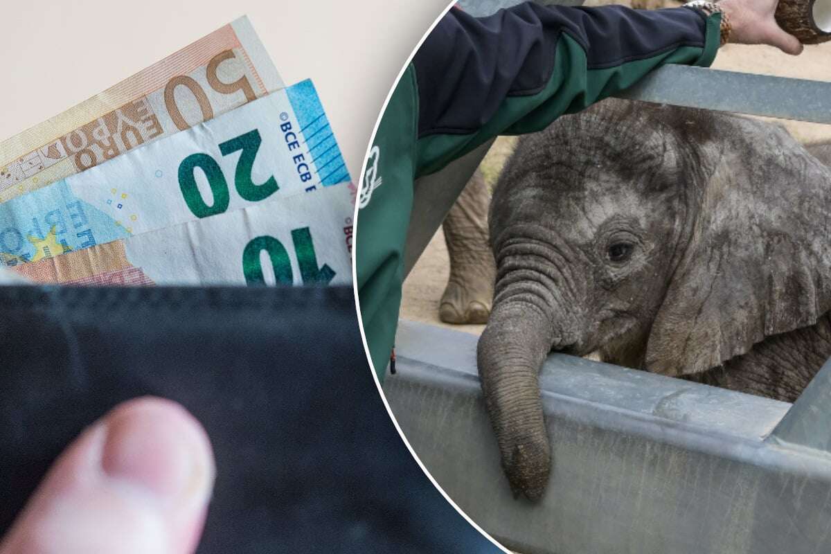 Ungewöhnliche Aktion in ostdeutschem Zoo: Hier bestimmt der Besucher den Eintrittspreis