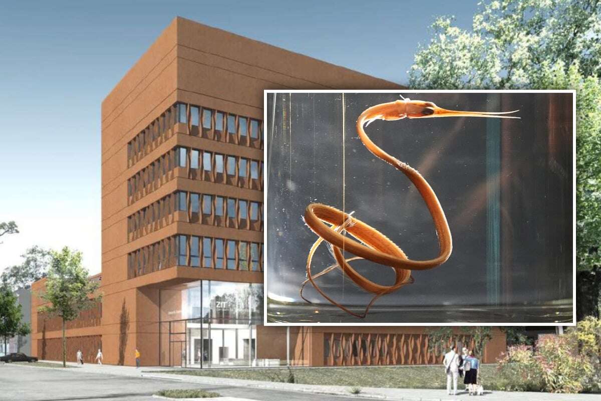 Neues Zentrum soll Tiefseeforschung voranbringen