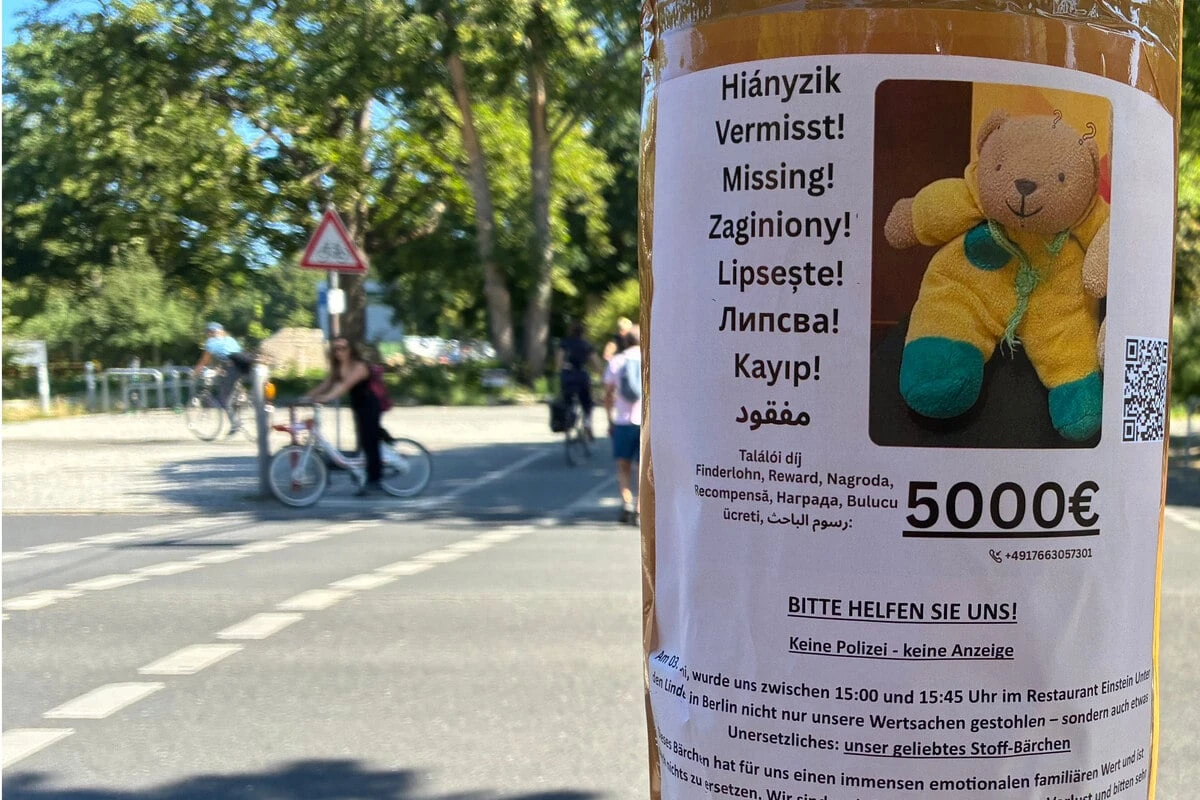 Teddy-Klau in Berlin: Bielefelder bietet 5000 Euro für verschwundenen Glücksbringer