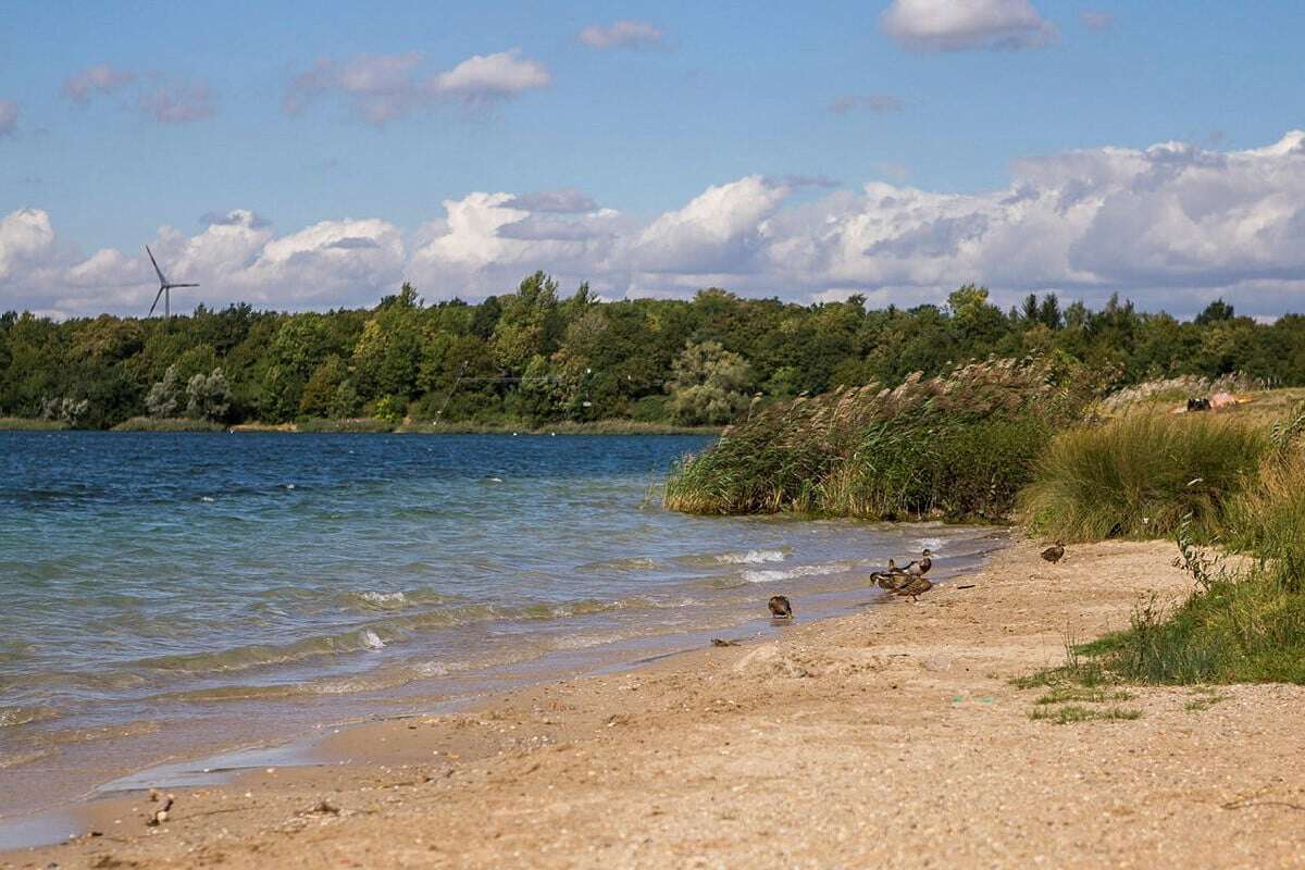 Junge Frau am Kulki in Busch gezerrt: Kripo sucht nach Zeugen und dem flüchtigen Täter