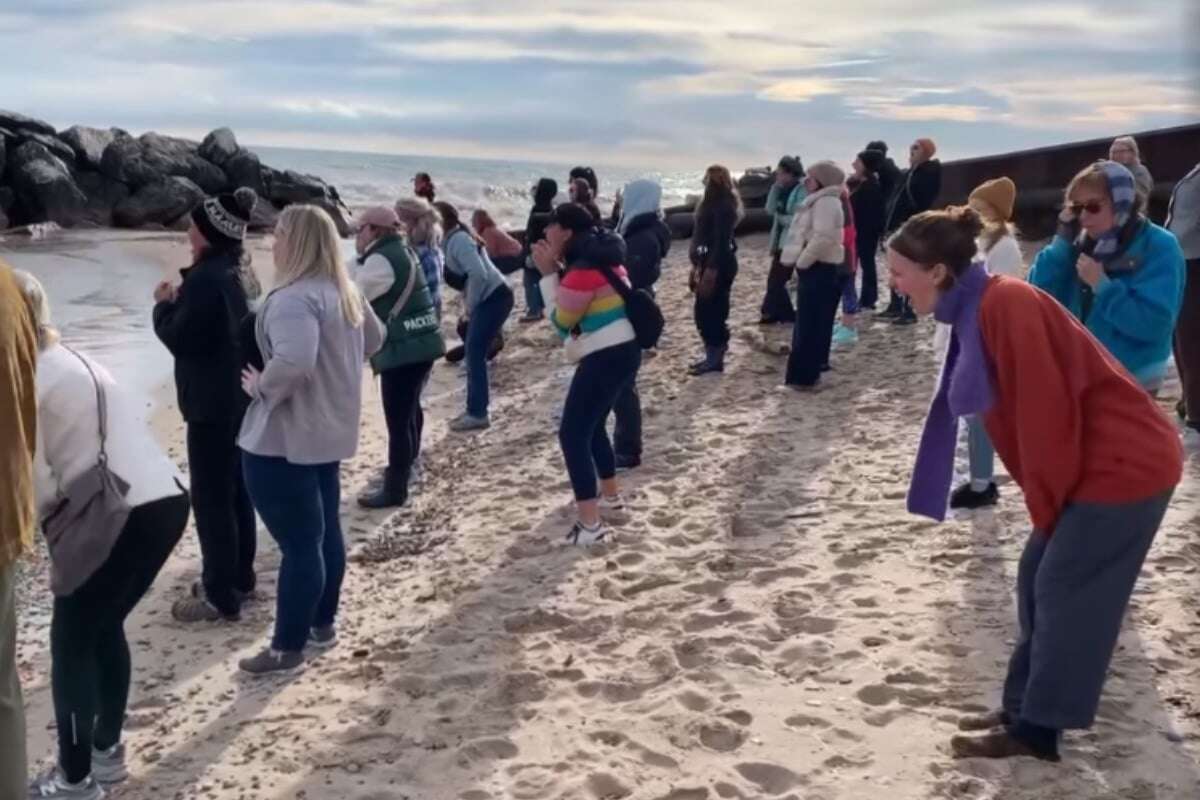 Frauen veranstalten Massenschrei nach Trump-Sieg: 