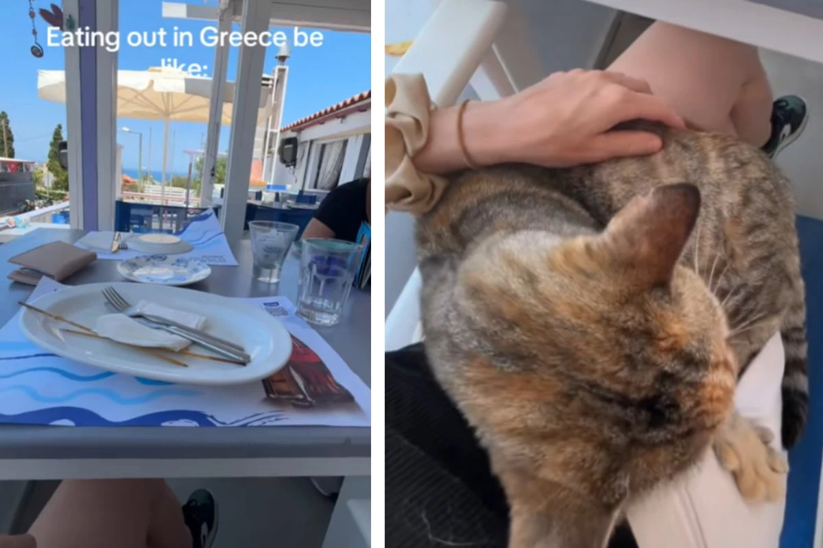 Frau geht im Urlaub essen, dann gesellt sich ein kuscheliger Gast hinzu