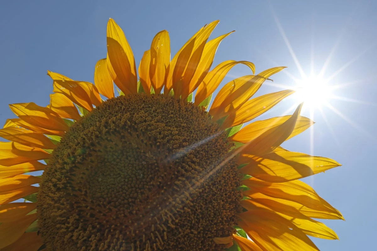 Sonniger Start ins Wochenende, doch dann krachen Gewitter über NRW
