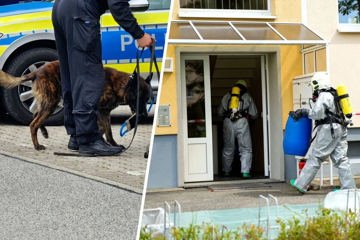 Verdächtige Substanz bei Zwangsräumung in Sachsen entdeckt: Sprengstoffhund muss ran