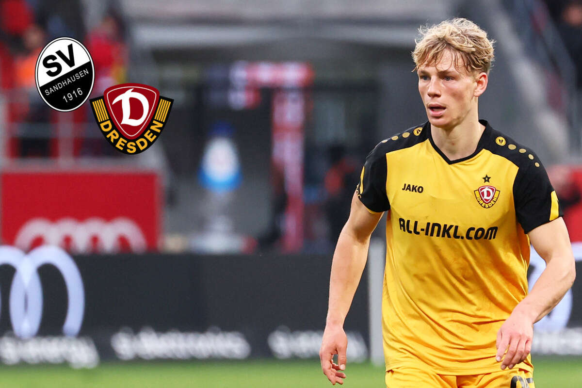 Dynamo in Sandhausen live: Aufstellung ist da! Diese Elf schickt Thomas Stamm aufs Feld