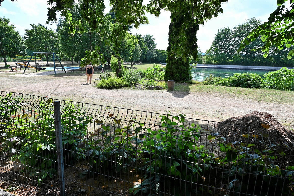 Mann uriniert nachts in sächsisches Freibad: Als Security kommt, eskaliert die Situation