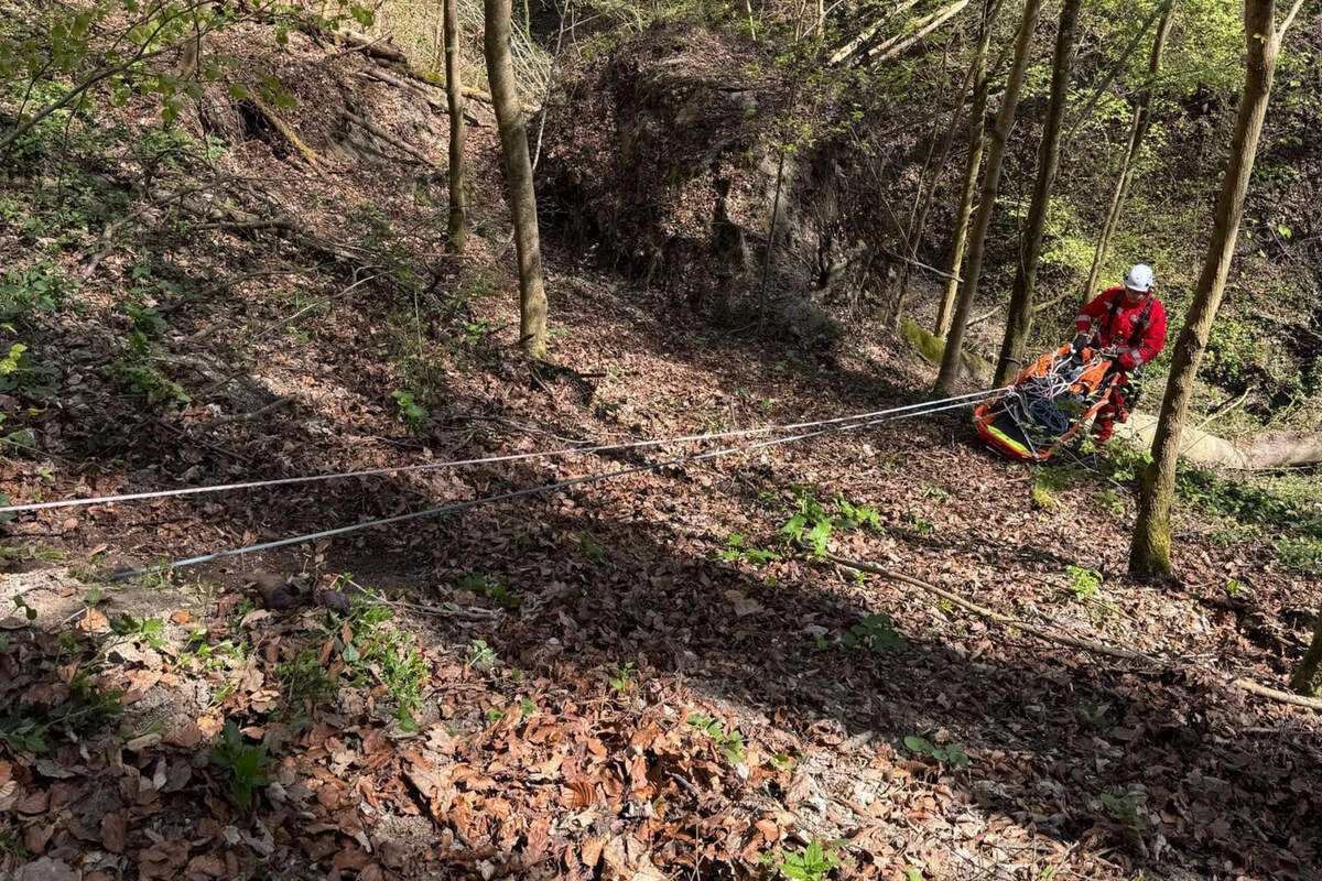 Mann und Hund stürzen 80 Meter hohen Steilhang hinab
