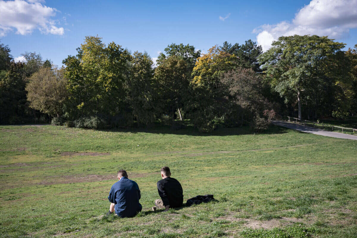 Für ein grünes Neukölln: Bezirksamt pflanzt neue Bäume