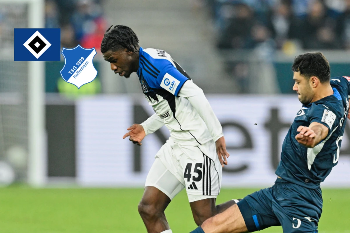 HSV empfängt die TSG Hoffenheim: 