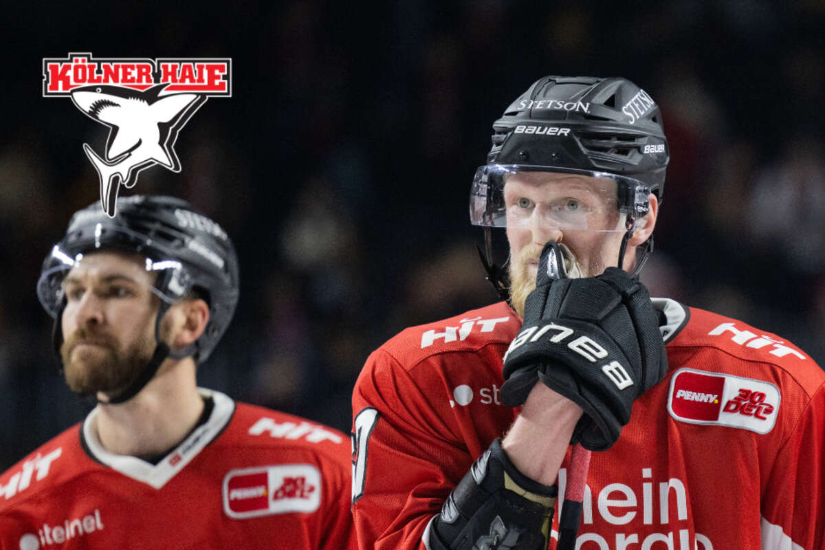 Wechsel zum Ligakonkurrenten: Verteidiger verlässt die Kölner Haie