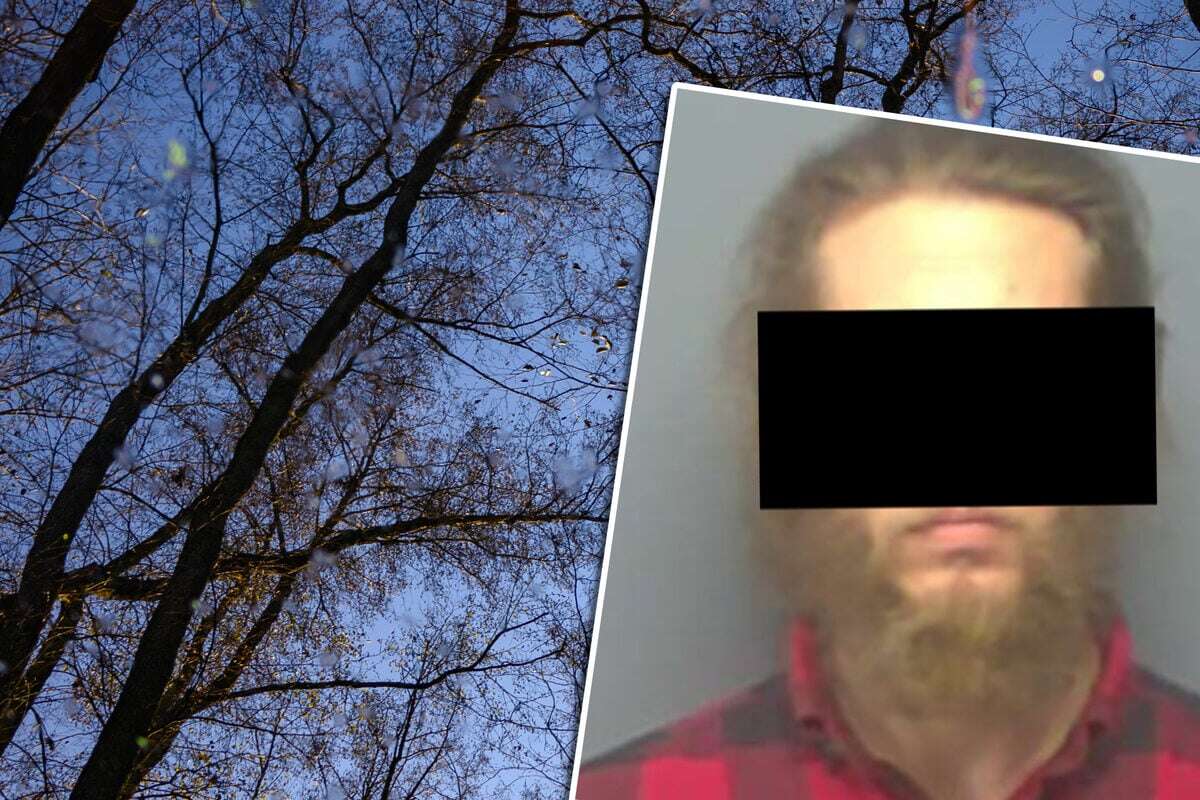 Ausgesetzt nach Sex: Gamer lässt Mädchen im Wald zurück und feiert Weihnachten mit seiner Familie!