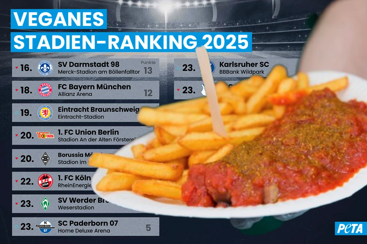 Stadion-Ranking von PETA: Hier kommen vegane Fußballfans auf ihre Kosten