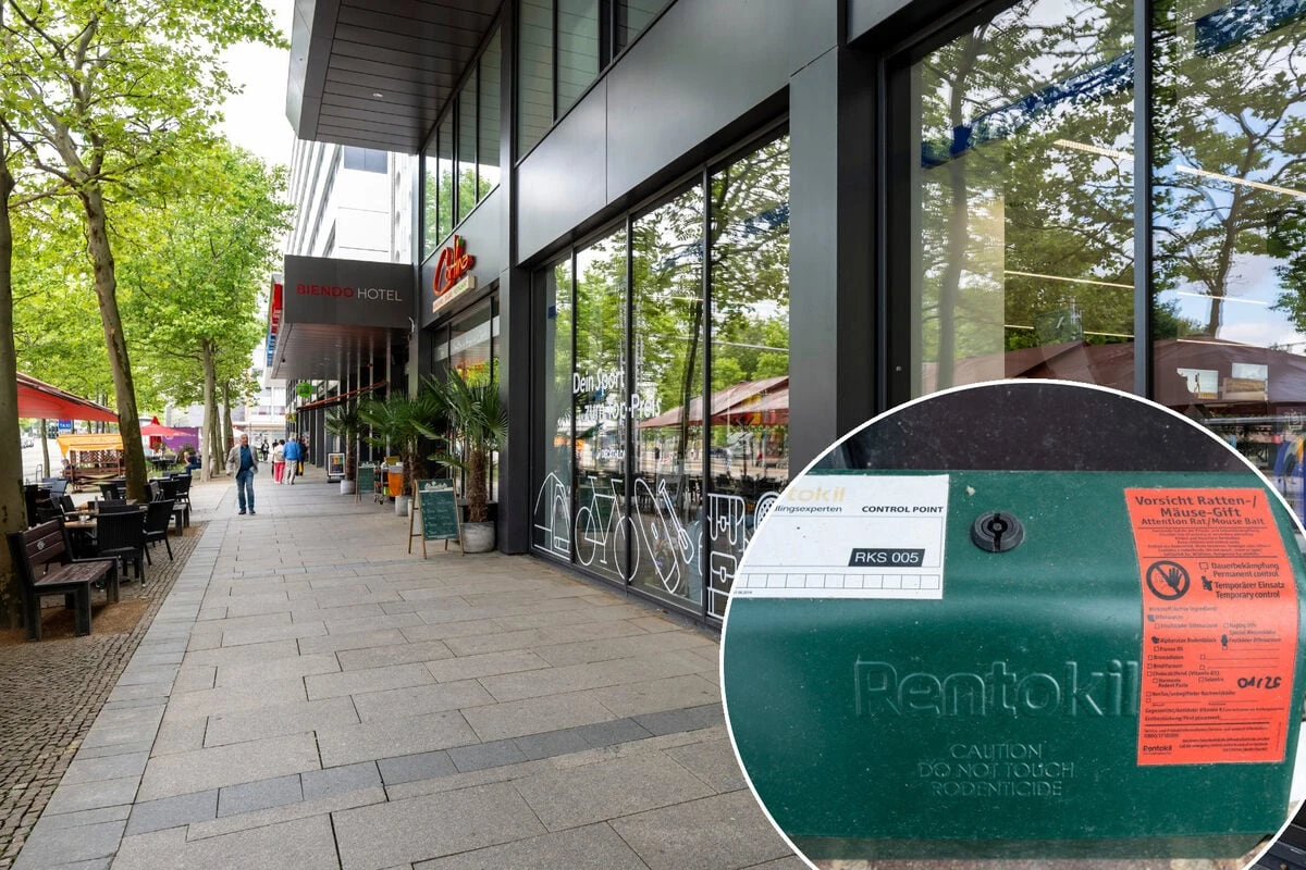 Rattenprobleme in der Stadt? Giftboxen sorgen in Chemnitz für Unruhe