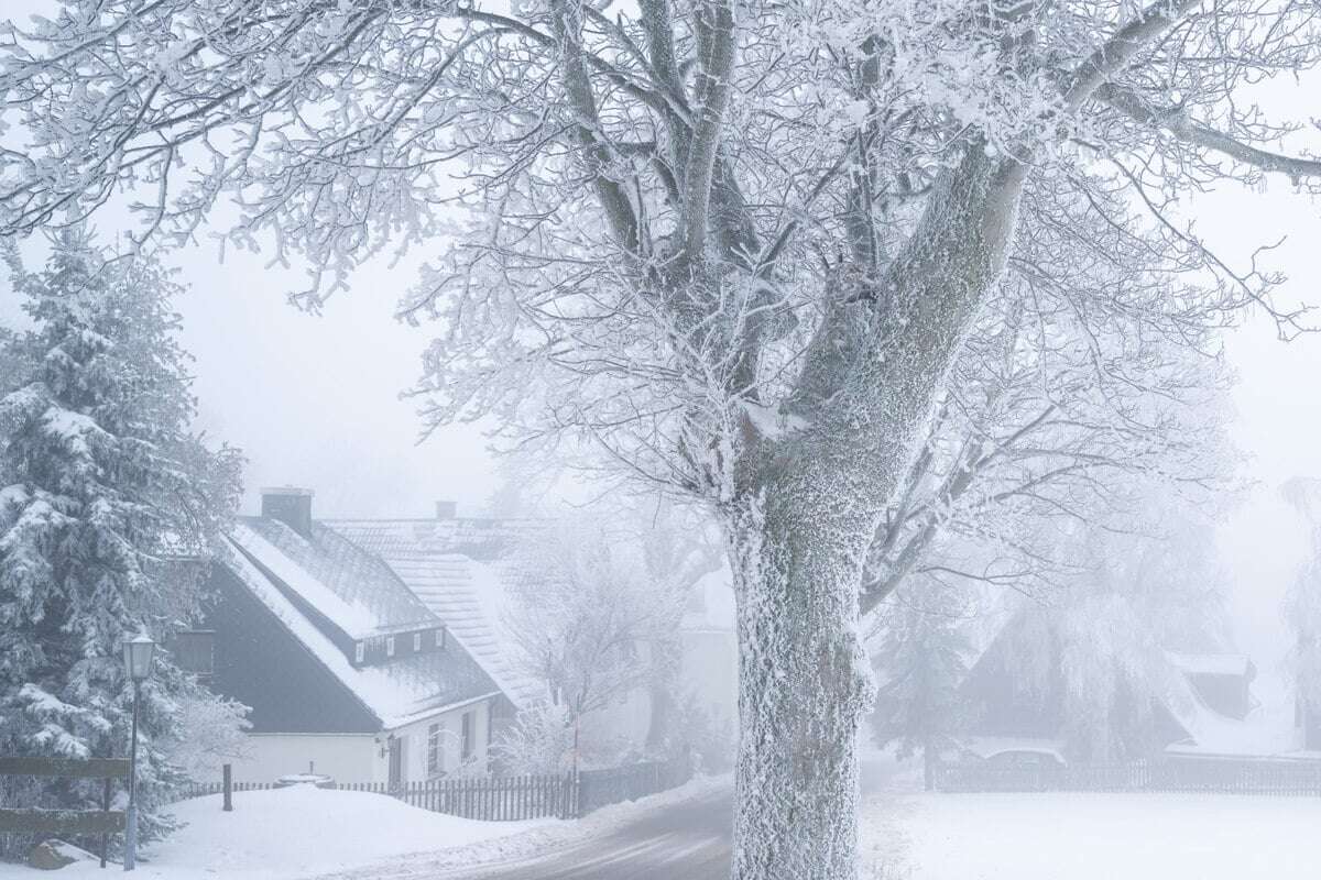 Niedrigste Temperatur, aber am meisten Sonnenschein: So war der Winter in Sachsen