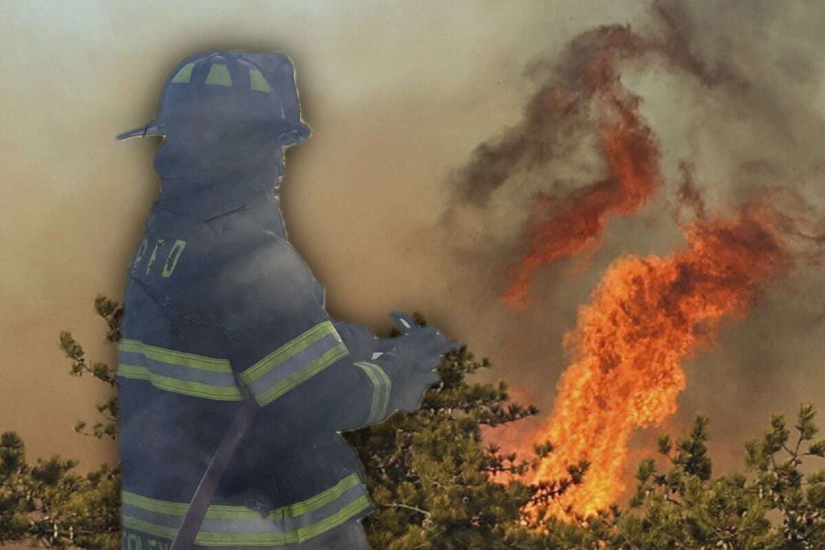 Flammeninferno in New York: Feuerwehr kämpft gegen vier verheerende Waldbrände!