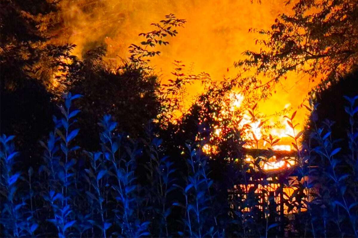 Feuerwehreinsatz mitten in der Nacht: Gartenlaube brennt lichterloh