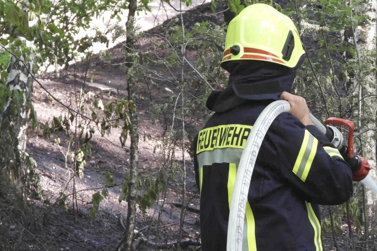Erste kleine Waldbrände: Hohe Flammengefahr im Norden Sachsens
