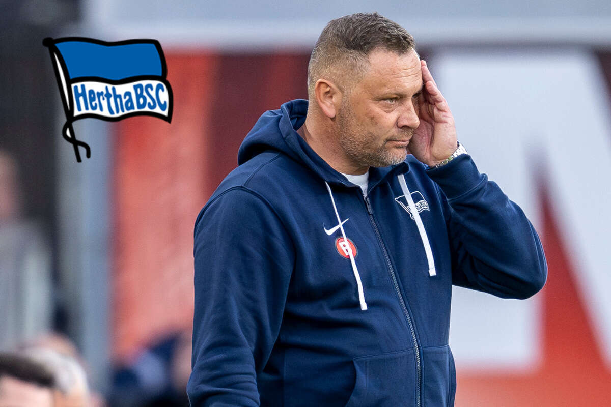 Hertha BSC: Entscheidung um Dardai gefallen!