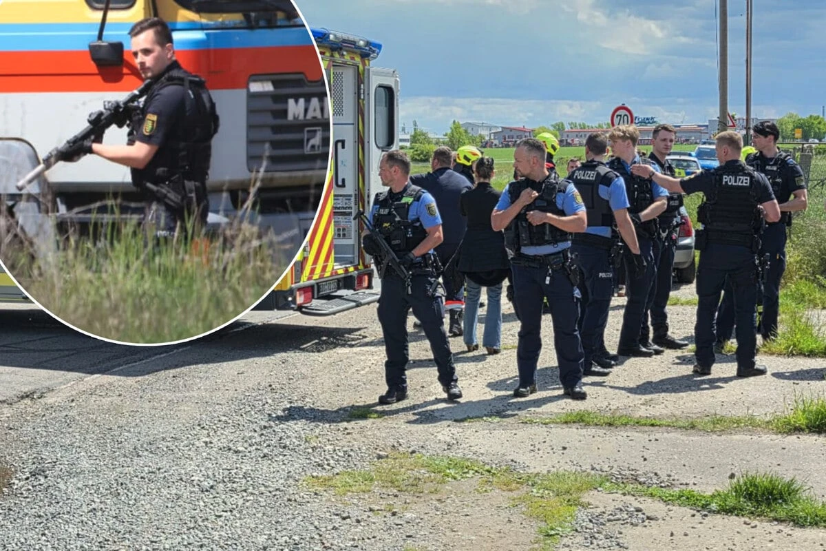 Tigerangriff im Leipziger Westen! Mann verletzt, Tier erschossen