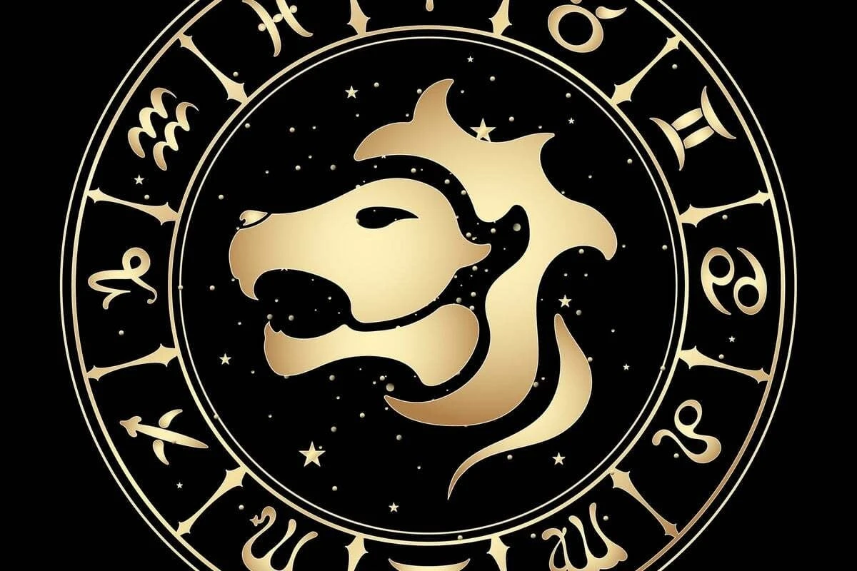 Wochenhoroskop Löwe: So wird die nächste Woche vom 8.6. bis 14.6.2026