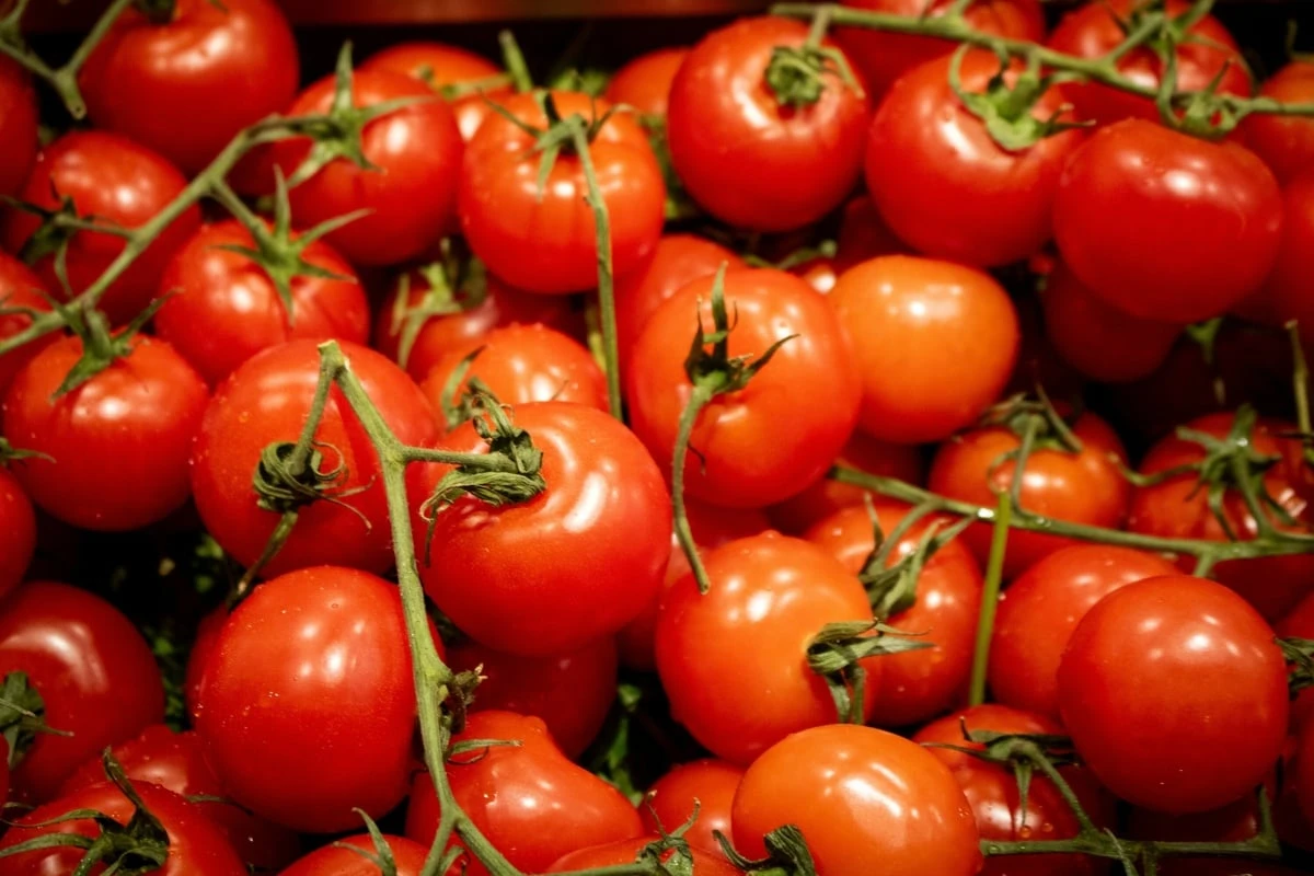 Die Tomaten aus dem Kühlschrank schmecken nicht? So kannst Du Tomaten lagern
