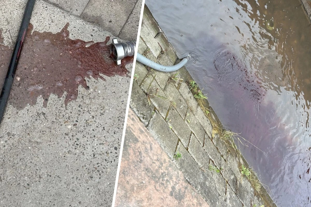 Rotes Wasser, tote Fische: Kleiner Bach dreist verschmutzt