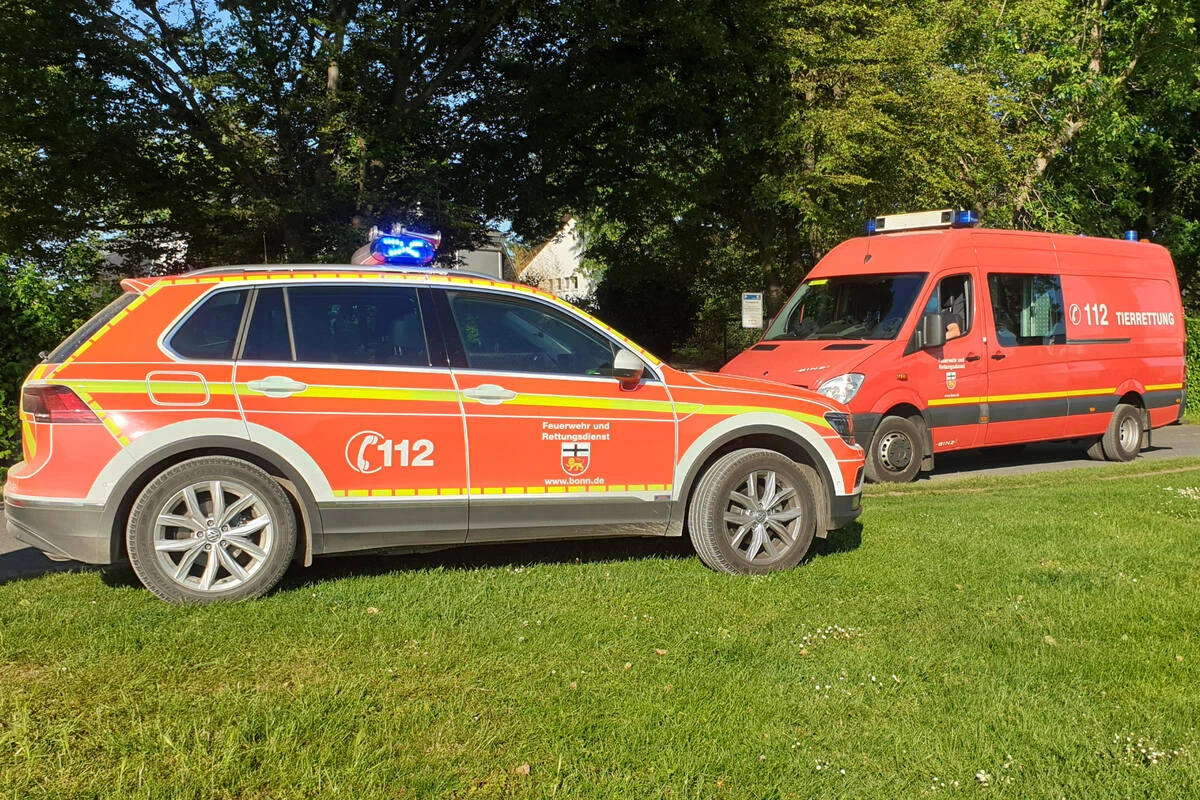 Rauchentwicklung auf Binnenschiff: Bonner Feuerwehr im Großeinsatz