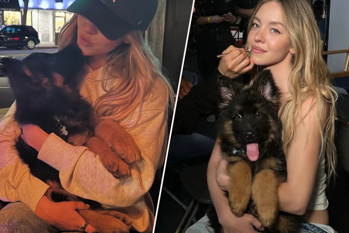 Zuckersüße Fellnase: Sydney Sweeney präsentiert ihren neuen tierischen Begleiter