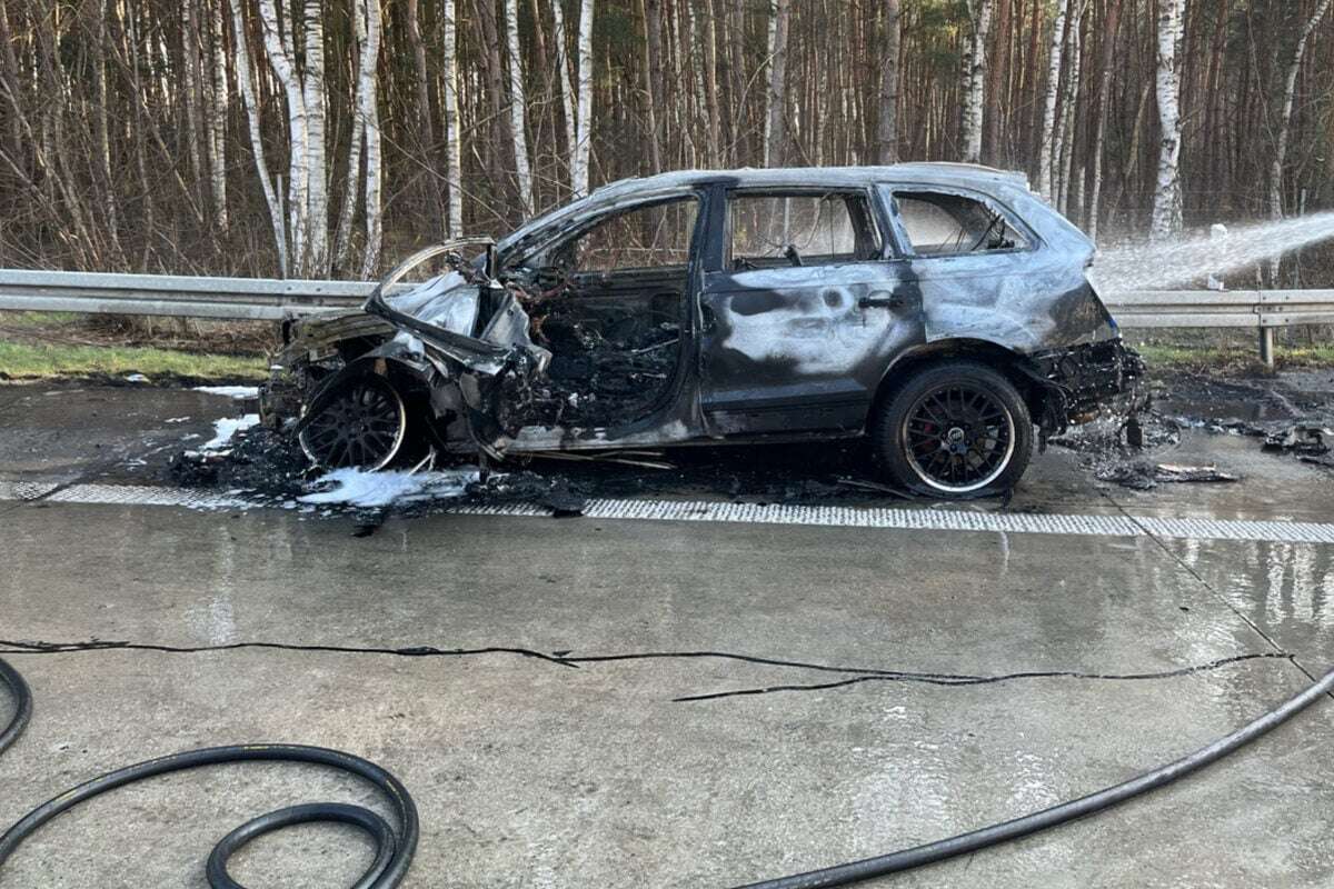 Audi fängt auf A2 Feuer: Familie kann sich vor Flammen retten