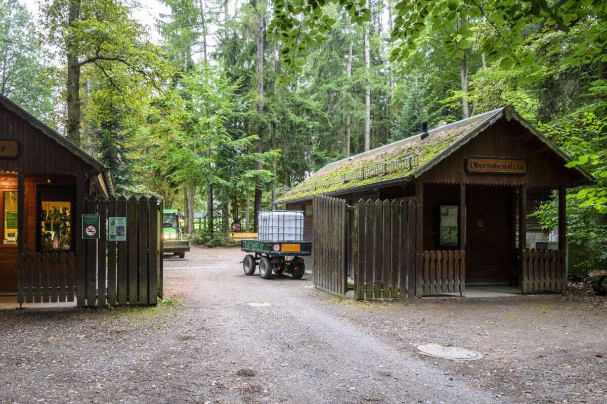 Große Resonanz auf Petition gegen die Schließung des Chemnitzer Wildgatters