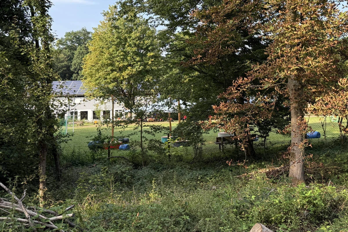 Leiche in Wald gefunden: Etliche Kinder müssen nach Schock betreut werden