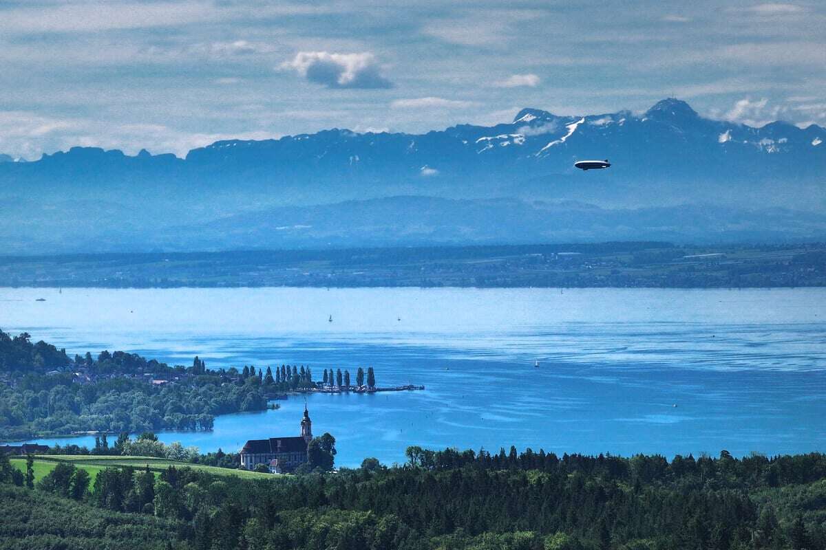 Seuchenfall am Bodensee: Infizierte Möwe entdeckt