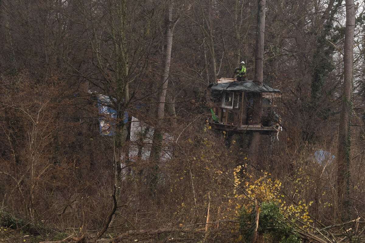 Aktivisten besetzen weiter Freiburger Waldstück - bei frostigen Temperaturen!