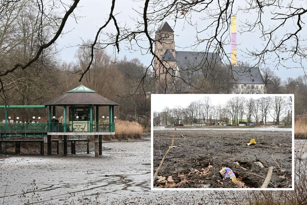 Kinderwagen, Verkehrsschilder, Gartenstühle - Lauter Müll im Chemnitzer Schlossteich