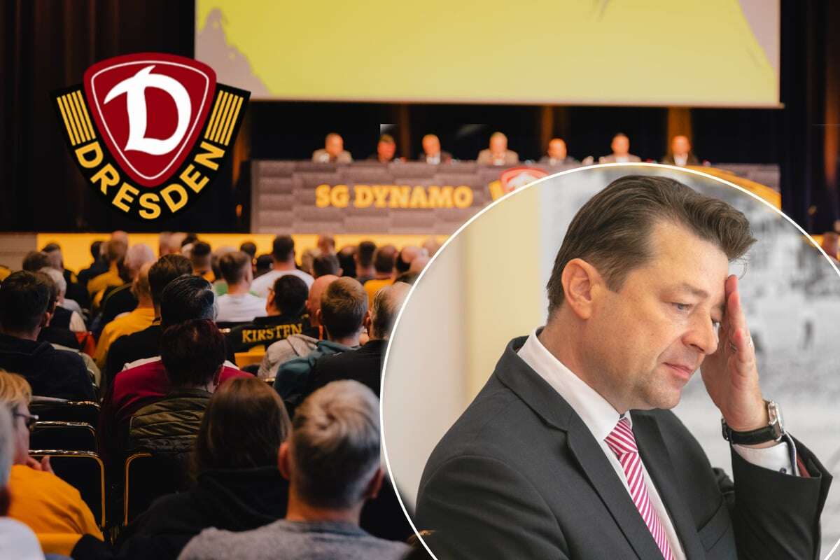 Keine Einigung im Streit um Dynamo-Präsident Scholze