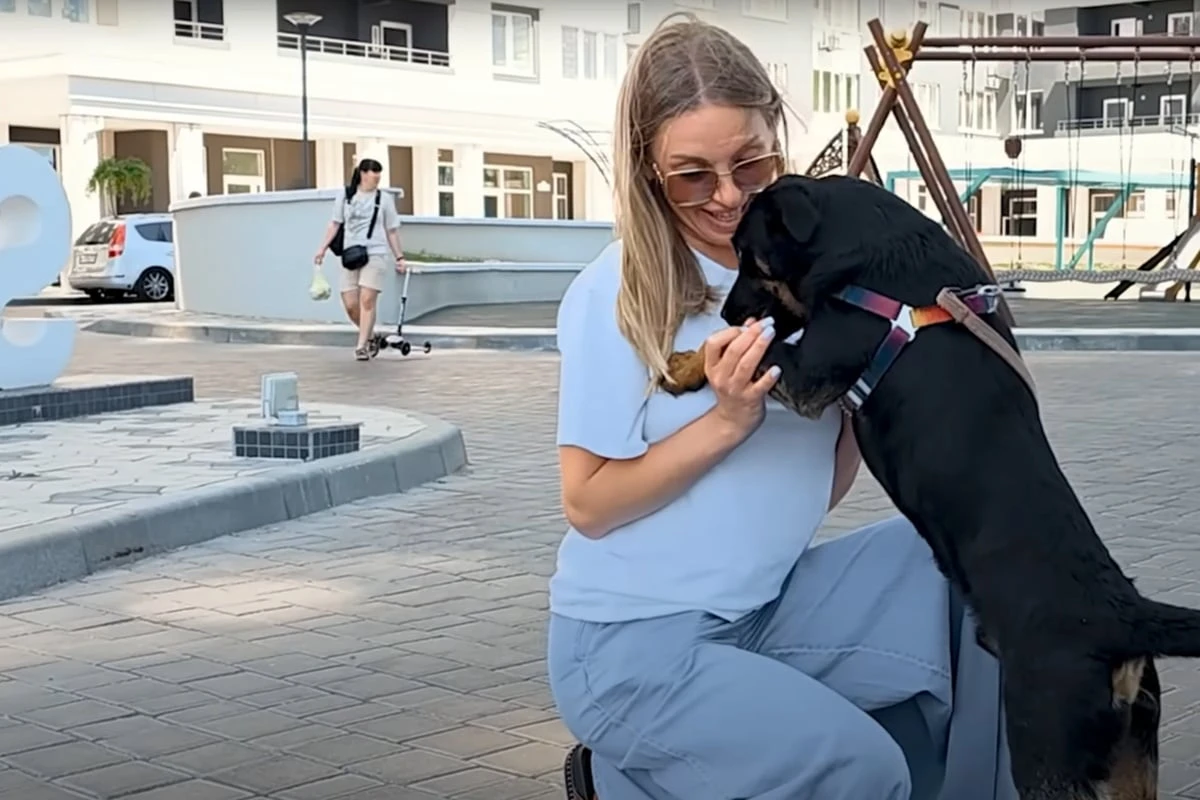 Frau sagt einige Sätze zu ausgesetztem Hund: Wie er darauf reagiert, erstaunt sie