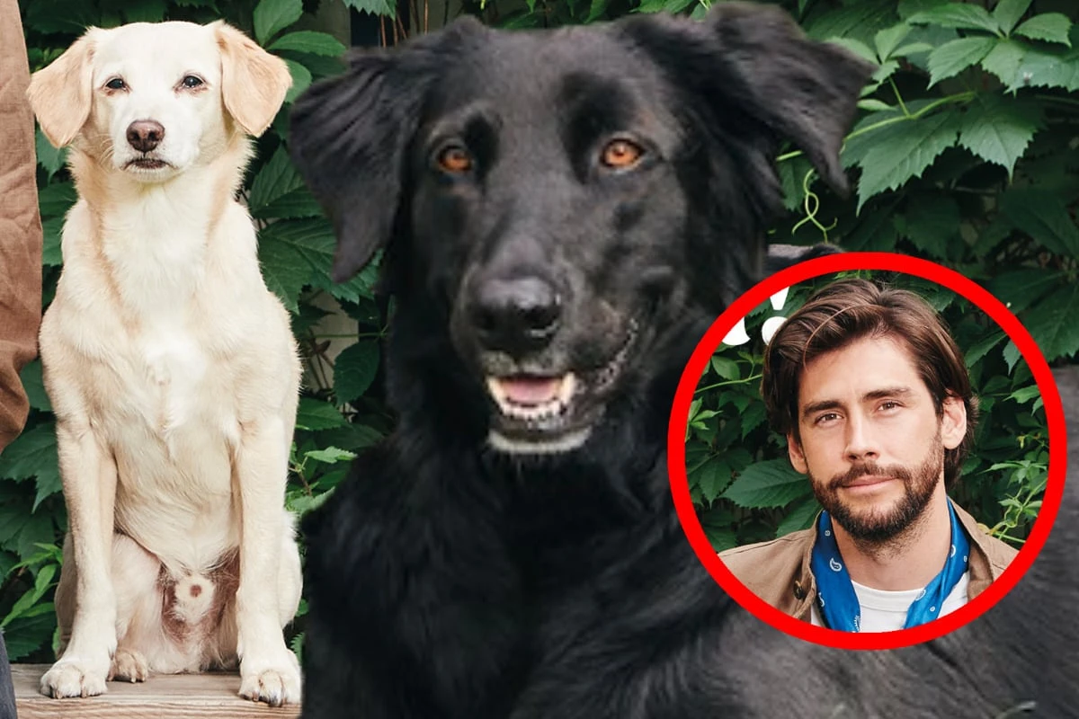 Sänger Alvaro Soler schwelgt in Erinnerungen: 